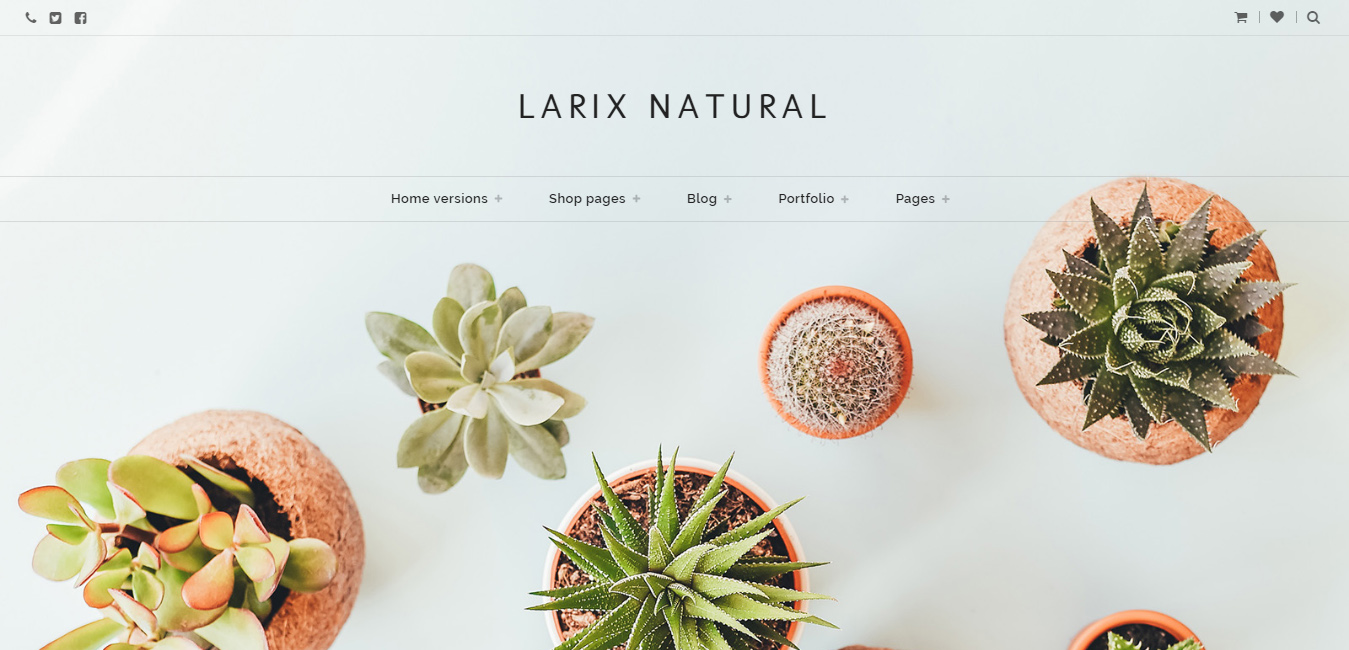 Larix - Creative Multipurpose WP Theme